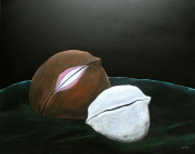 Schlafende Nüsse, 2011