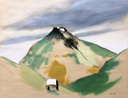 Mit Truthahn (Färöer), 2011