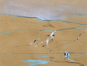 Bach (Färöer), 2009