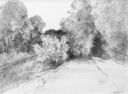 Kohle auf Hartfaserplatte, 60x80cm