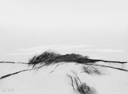 Kohle auf Papier, 15x20cm