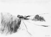 Kohle auf Papier, 24x33cm