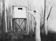 Kohle auf Papier, 30x40cm